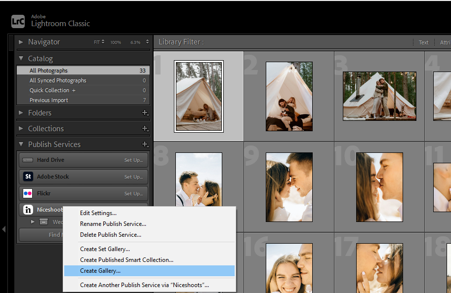 The 'Create Gallery' and 'Create Set Gallery' options in Lightroom.