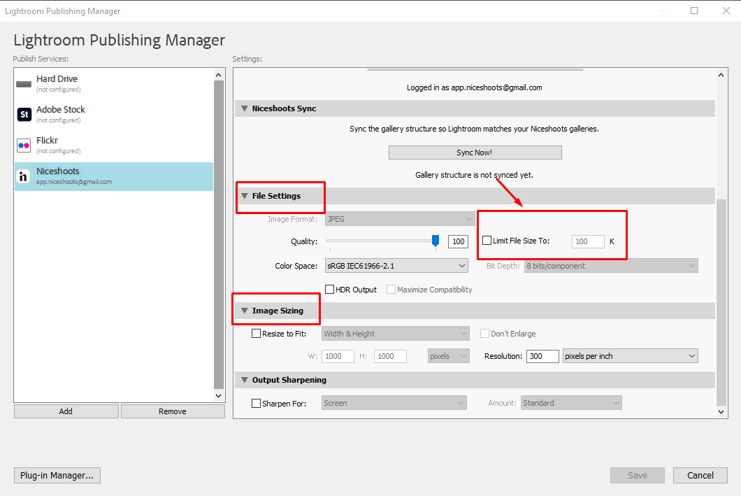 The 'File Settings' and 'Image Sizing' sections in Lightroom.