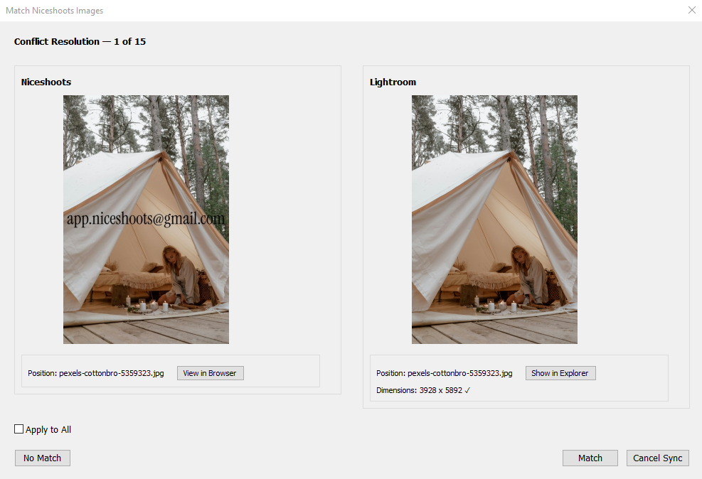 The 'Match Niceshoots Images' window in Lightroom.