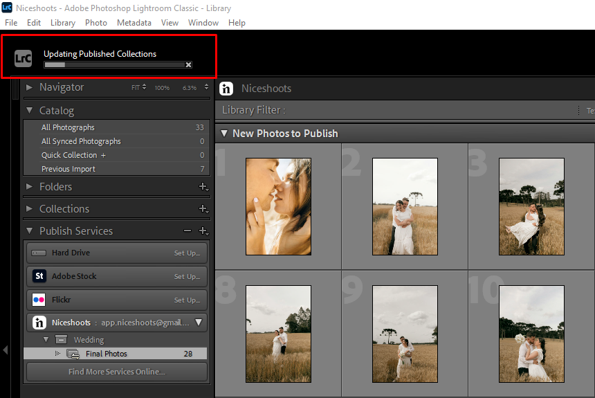 The publishing progress bar in Lightroom.